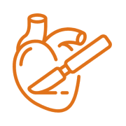 Heart & Vascular Sciences Treatment Heart & Vascular Sciences Treatment