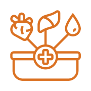 Organ Transplants Treatment Organ Transplants Treatment